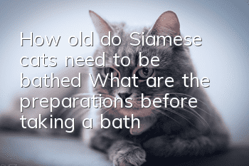 How old do Siamese cats need to be bathed? What are the preparations before taking a bath?