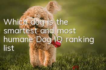 Which dog is the smartest and most humane? Dog IQ ranking list
