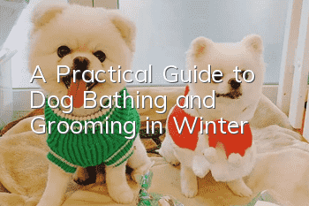 A Practical Guide to Dog Bathing and Grooming in Winter