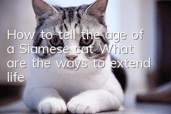 How to tell the age of a Siamese cat? What are the ways to extend life?