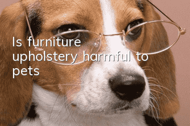 Is furniture upholstery harmful to pets?