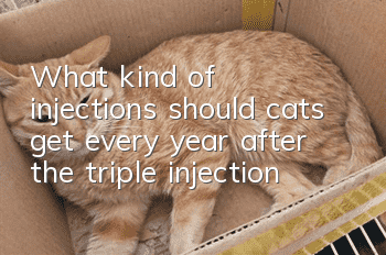 What kind of injections should cats get every year after the triple injection?