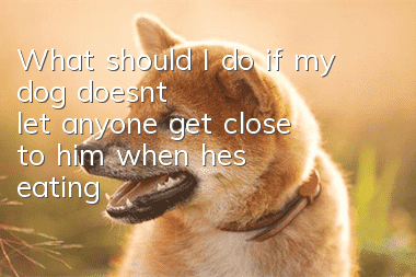 What should I do if my dog doesn’t let anyone get close to him when he’s eating?