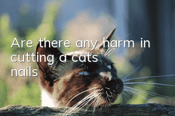 Are there any harm in cutting a cat's nails?