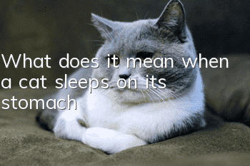 What does it mean when a cat sleeps on its stomach?