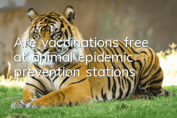 Are vaccinations free at animal epidemic prevention stations?