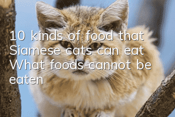 10 kinds of food that Siamese cats can eat? What foods cannot be eaten?