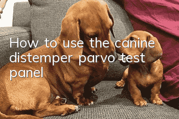How to use the canine distemper parvo test panel