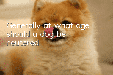 Generally, at what age should a dog be neutered?