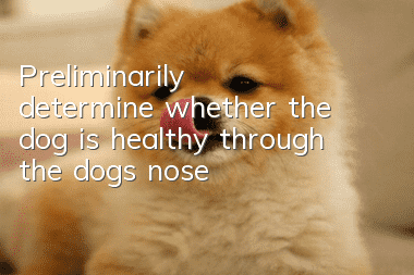 Preliminarily determine whether the dog is healthy through the dog’s nose