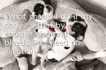 What should I do if my dog is bitten by another dog and bleeds? Do I need an injection?