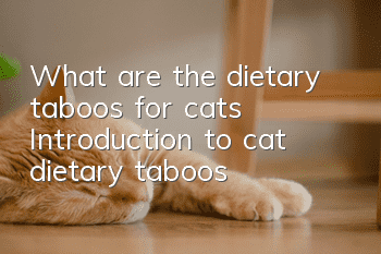 What are the dietary taboos for cats? Introduction to cat dietary taboos