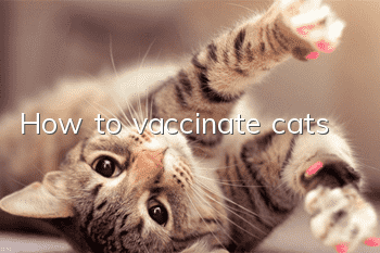 How to vaccinate cats?