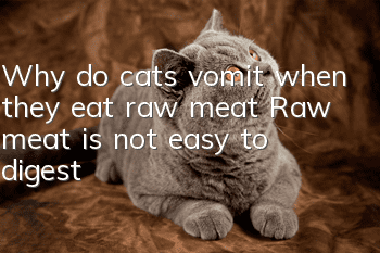 Why do cats vomit when they eat raw meat? Raw meat is not easy to digest