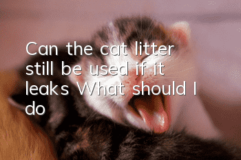 Can the cat litter still be used if it leaks? What should I do?