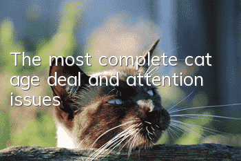 The most complete cat age deal and attention issues!