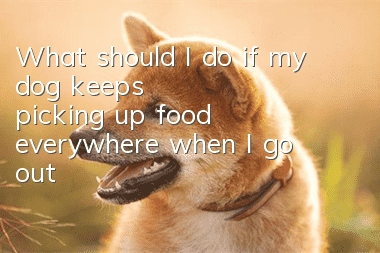 What should I do if my dog keeps picking up food everywhere when I go out?