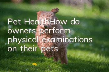 Pet Health丨How do owners perform physical examinations on their pets?