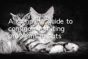 A complete guide to common vomiting problems in cats