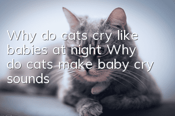 Why do cats cry like babies at night? Why do cats make baby cry sounds?
