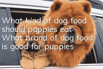What kind of dog food should puppies eat? What brand of dog food is good for puppies?