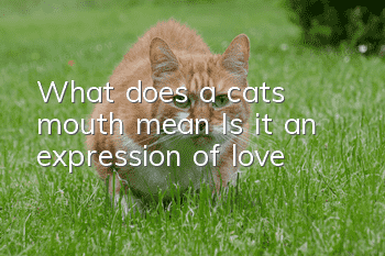 What does a cat's mouth mean? Is it an expression of love?