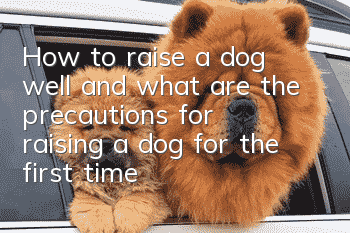 How to raise a dog well, and what are the precautions for raising a dog for the first time?