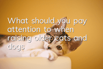What should you pay attention to when raising older cats and dogs?