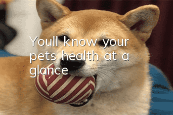 You’ll know your pet’s health at a glance!