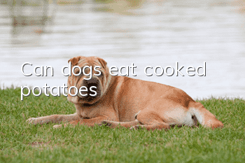 Can dogs eat cooked potatoes?