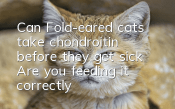 Can Fold-eared cats take chondroitin before they get sick? Are you feeding it correctly?