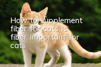 How to supplement fiber for cats? Is fiber important for cats?