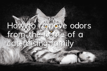 How to remove odors from the home of a cat-raising family?