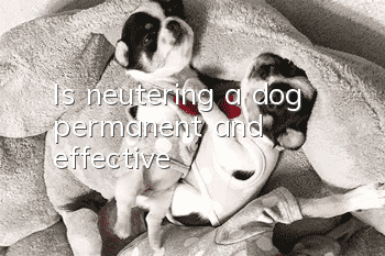 Is neutering a dog permanent and effective?