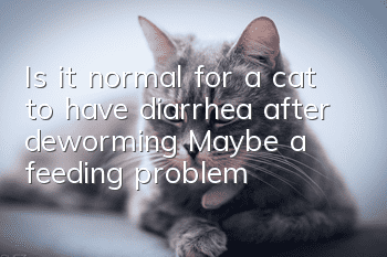 Is it normal for a cat to have diarrhea after deworming? Maybe a feeding problem