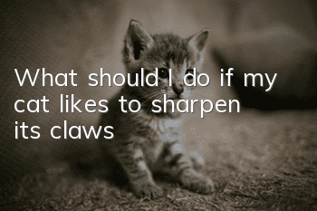 What should I do if my cat likes to sharpen its claws?