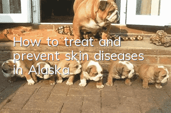 How to treat and prevent skin diseases in Alaska