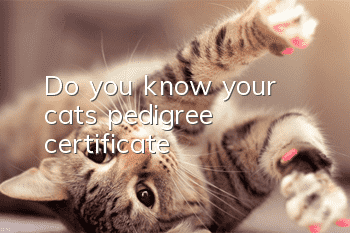 Do you know your cat’s pedigree certificate?