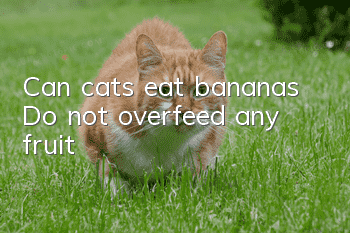 Can cats eat bananas? Do not overfeed any fruit