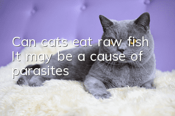 Can cats eat raw fish? It may be a cause of parasites