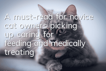 A must-read for novice cat owners: picking up, caring for, feeding, and medically treating cats is all what you want to know!