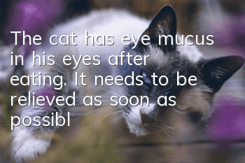 The cat has eye mucus in his eyes after eating. It needs to be relieved as soon as possible.