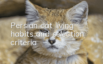 Persian cat living habits and selection criteria