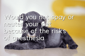 Would you not spay or neuter your pet because of the risks of anesthesia?