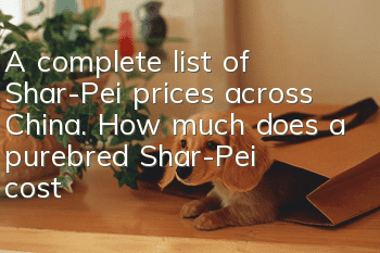 A complete list of Shar-Pei prices across China. How much does a purebred Shar-Pei cost?