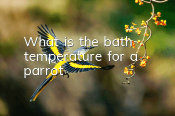 What is the bath temperature for a parrot?