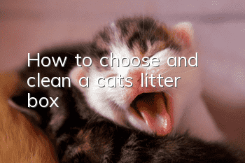 How to choose and clean a cat’s litter box?