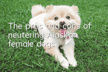 The pros and cons of neutering Alaskan female dogs