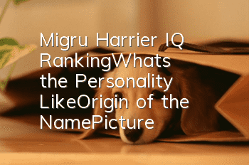 Migru Harrier IQ Ranking_What's the Personality Like_Origin of the Name|Picture