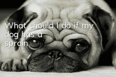 What should I do if my dog has a sprain?